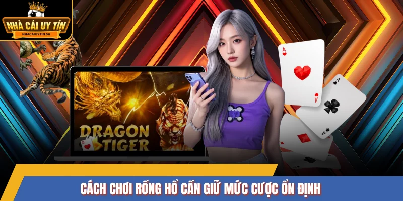 Cách chơi Rồng Hổ cần giữ mức cược ổn định